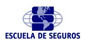 <p><strong>Escuela de Seguros</strong></p>
